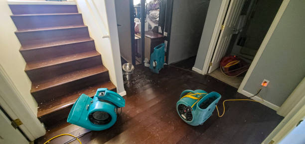 Best Water damage restoration near me  in Inglenook, CT