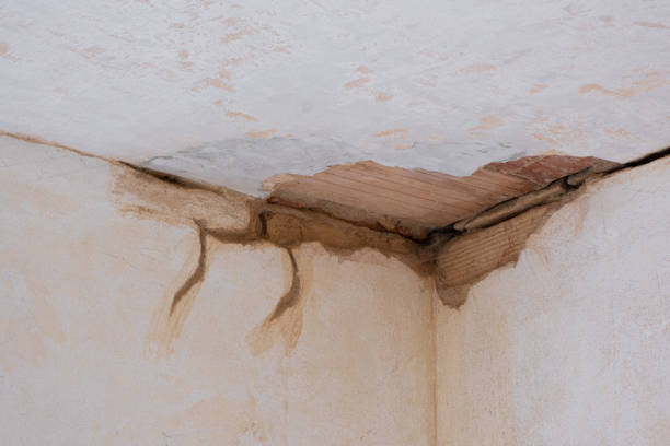 Best Water damage contractors near me  in Inglenook, CT