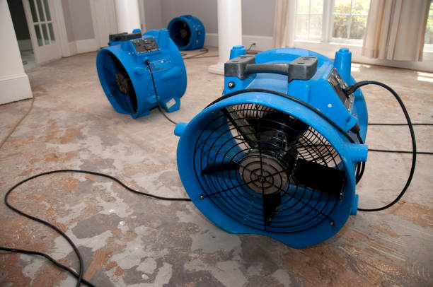 Water damage restoration experts in Inglenook, CT