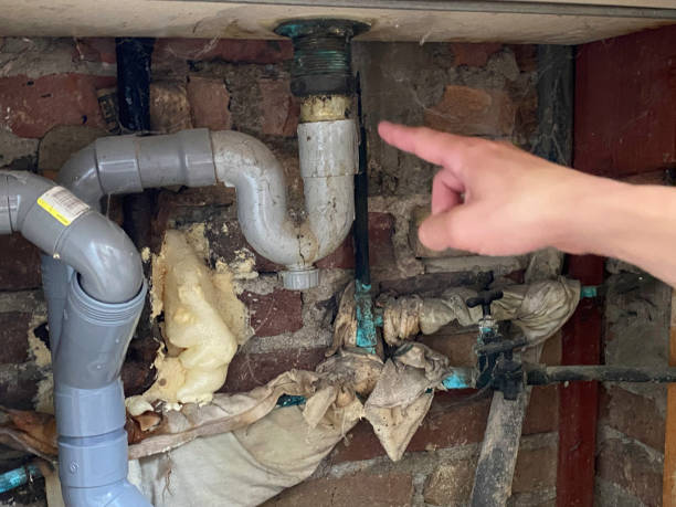 Best Mold removal after water damage  in Inglenook, CT