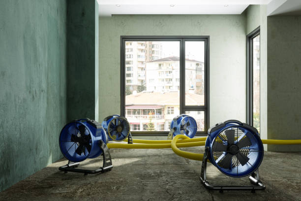 Best Residential water damage restoration  in Inglenook, CT